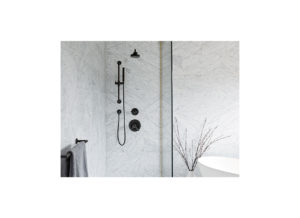 Designer Bath & Salem Plumbing Supply. Jason Wu and Brizo Shower Collection